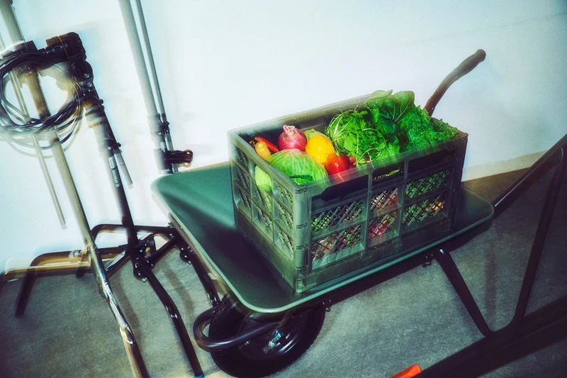 野菜が入ったコンテナを載せた一輪車の写真