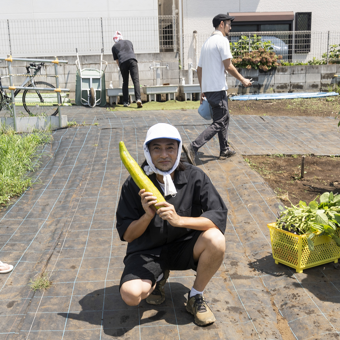 「収穫適期を逃し、育ちすぎて巨大化した野菜はどう料理する？【プロから学ぶ創作料理その2】」のサムネイル画像