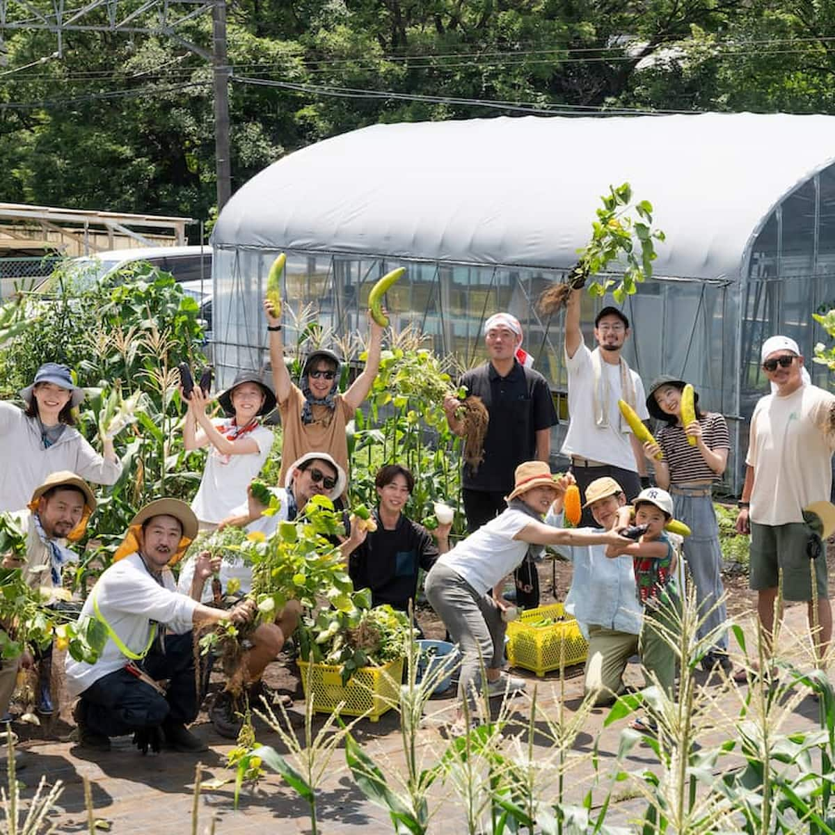 「【初めての収穫祭・前編】TSUCHILLの家庭菜園 第１章。12種類の夏野菜が採れました」のサムネイル画像