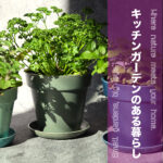 キッチンガーデンで始める土耕栽培。プランターで野菜やハーブを育てるコツとは？