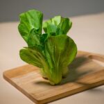 小さなプランターがあればOK！ミニチンゲンサイの室内栽培に挑戦