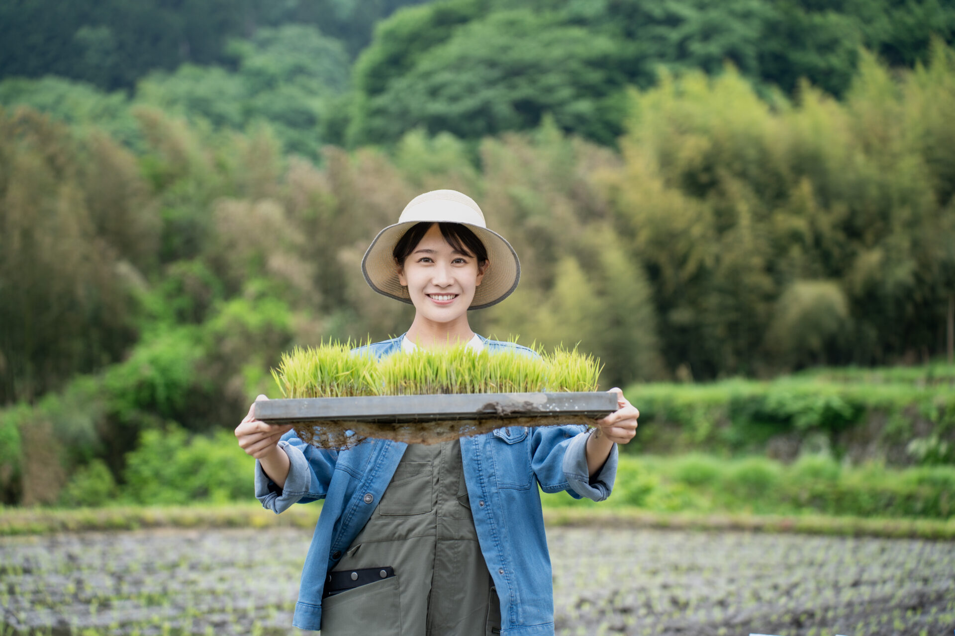 【島津の米】手作業の田植えを体験した島津アナ。あらためて米作りの大変さを知る！