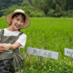 【島津の米】手作業で田んぼをクリーンに。丁寧な草取りが米作りを成功へ導く！